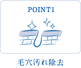 POINT1 毛穴汚れ除去